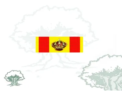 Pasador Gran Cruz Mérito Naval Distintivo