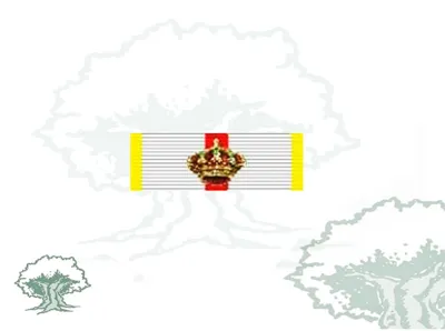 Pasador Gran Cruz Mérito Militar Distintivo