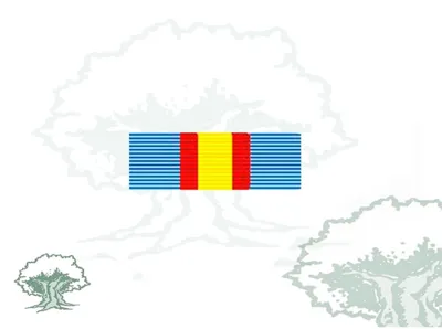 Pasador Medalla Aérea Individual
