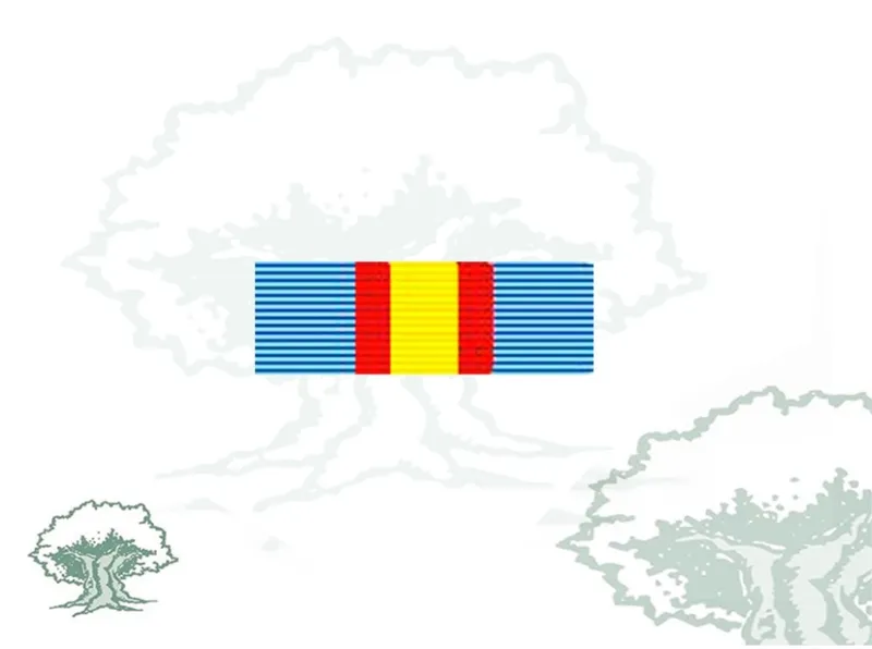 Pasador Medalla Aérea Individual