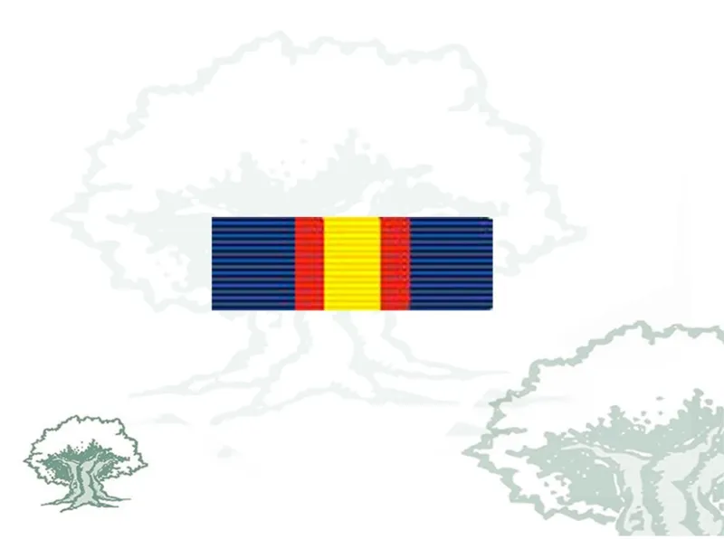 Pasador Medalla Naval Individual