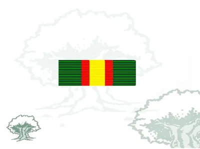 Pasador Medalla Ejército Individual