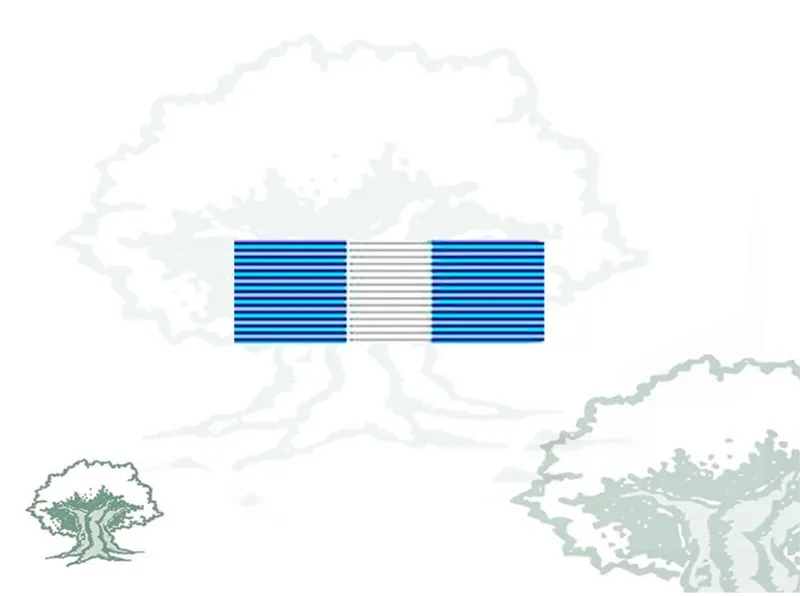 Pasador Cruz de Guerra