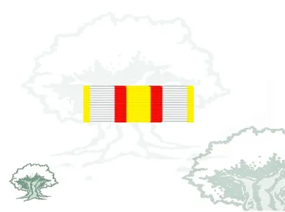 Pasador Medalla Militar