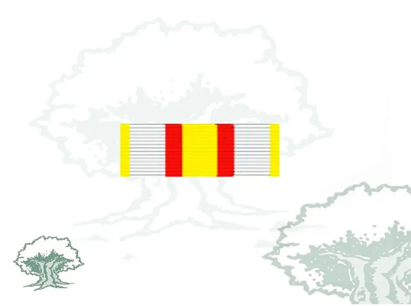 Pasador Medalla Militar