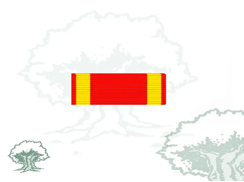 Pasador Cruz Laureada