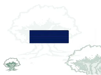 Pasador Medalla Mérito Protección Civil Distintivo