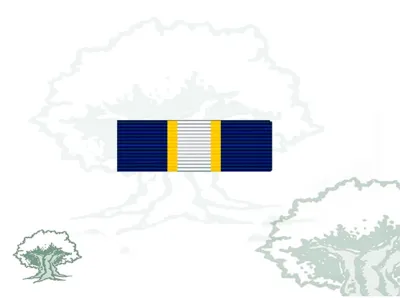 Pasador Medalla Eurogendfor