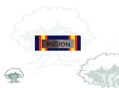 Pasador Medalla Campaña