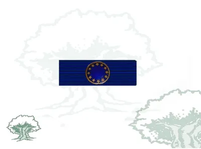 Pasador Medalla Excombatiente Europeo