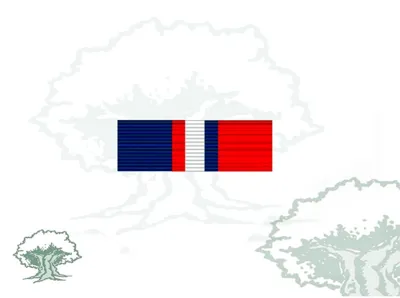 Pasador Medalla OTAN (Kosovo) Nueva