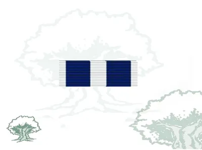 Pasador Medalla OTAN (Kosovo)