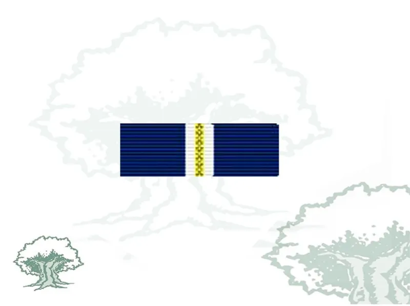 Pasador Medalla OTAN (Eagle Assist)