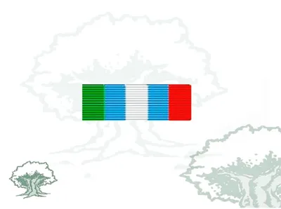 Pasador Medalla ONU (Unmibh)