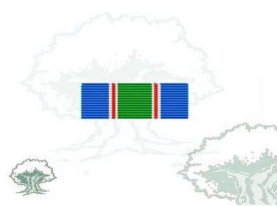Pasador Medalla ONU (Unifil)