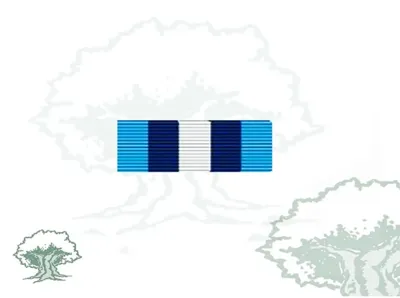 Pasador Medalla ONU (Onusal)