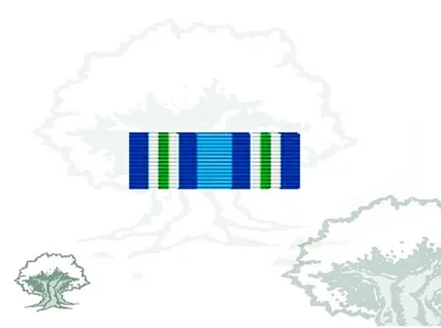 Pasador Medalla ONU (Minugua)
