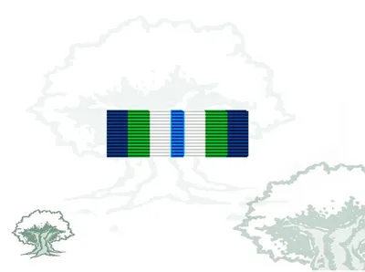 Pasador Medalla ONU (Minustah)