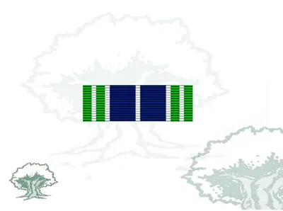 Pasador Medalla ONU (Afganistán)
