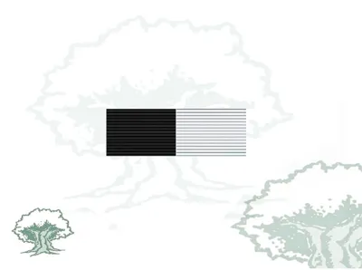 Pasador Medalla Ciudad de Ceuta