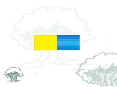 Pasador Medalla Ciudad de Algeciras