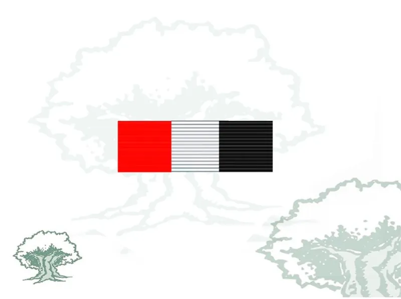 Pasador Medalla Irak