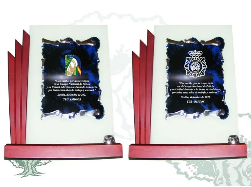 Placa de Cristal y Madera Vertical