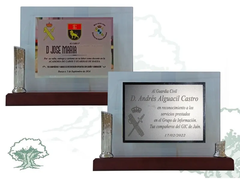 Placa de Cristal con Columnas