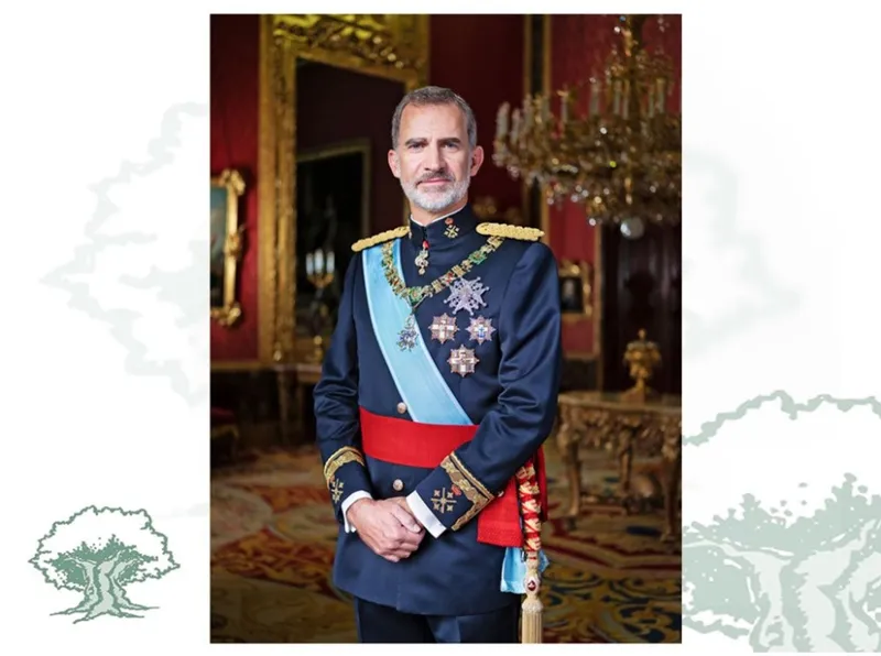 Lámina Felipe VI