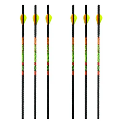 Armbrustpfeil Zombie Slayer 18 Carbon Ohne Spitze 6ER Pack - Black Eagle