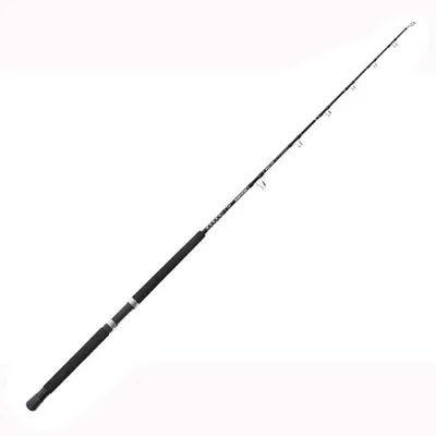 Caña Ecosystem Boat 1,67 M 30-50LB - Hart