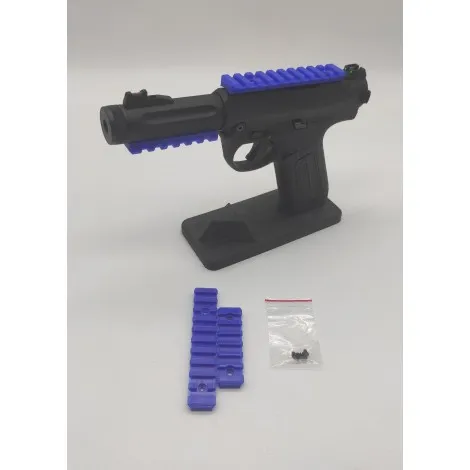 ESOSYSTEM3D AAP01 RIS Rail Set Slitte Colore Blu