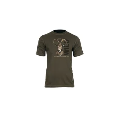 Ground Ibex - Hart