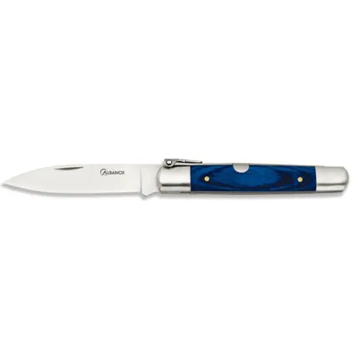Σουγιάς Penknife Stamina 01095 - Albainox