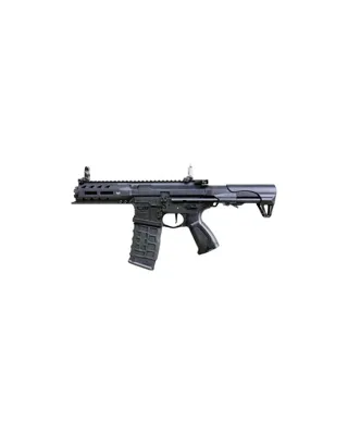 Arp 556 V2S - G&G