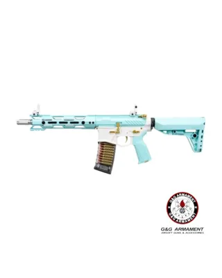 CM16 Stealth 556 Macaron - G&G Armament